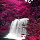 Spring Waterfall Live Wallpape APK