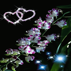 White Flowers Heart LWP आइकन