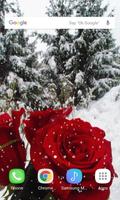 Winter Rose Live Wallpaper screenshot 2