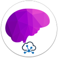 Brain Quest