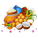 Pongal and Makar Sankranti Sti APK