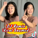 DJ Cewek Terngiang ngiang mp3 APK