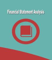 Financial Statement Analysis Screenshot 3