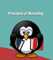 Principles of Marketing Ekran Görüntüsü 3