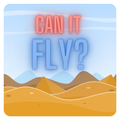 Can It Fly?