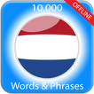 Learn Dutch