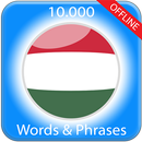 Learn Hungarian APK