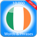Learn Irish APK