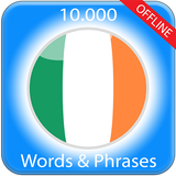 Learn Irish-APK