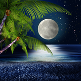 Tropical Night Live Wallpaper আইকন