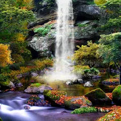 Скачать 3D Осенний Водопад Живые Обои APK