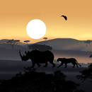 African Sunset Live Wallpaper APK