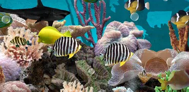 3D Aquarium Live Wallpaper