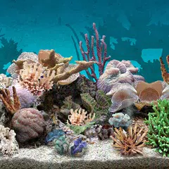 Descargar APK de 3D Aquarium Live Wallpaper