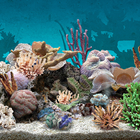 3D Aquarium Live Wallpaper icono