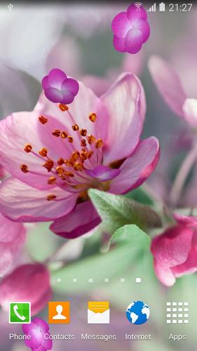 Cherry Blossom Live Wallpaper for Android - APK Download