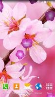 برنامه‌نما Cherry Blossom Live Wallpaper عکس از صفحه