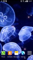 Jellyfish Live Wallpaper Affiche