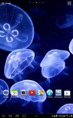 Jellyfish Live Wallpaper APK download