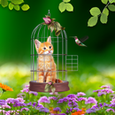 Cat and Hummingbirds Wallpaper APK