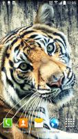 Tiger Live Wallpaper capture d'écran 1