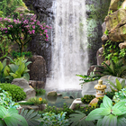 3D Waterfall Live Wallpaper 图标