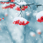 Beautiful Winter Live Wallpape icône