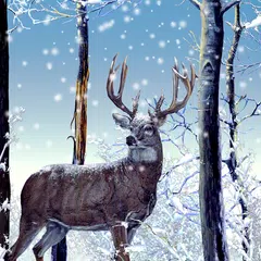 Winter Forest Live Wallpaper APK download