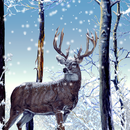 Winter Forest Live Wallpaper APK