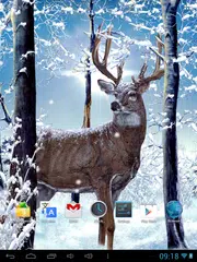 Winter Forest Live Wallpaper APK download