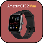 Amazfit GTS 2 Mini Guide أيقونة