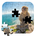 Jigsaw for Monkey game Puzzle