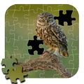Jigsaw for Owl game Puzzle