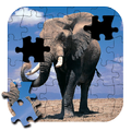 Jigsaw foe Elephant Puzzle