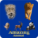 Amazing Animal APK