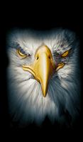 Wallpaper Eagle Flying HD screenshot 1