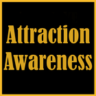 Mindset and Attraction ikon