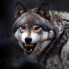 Wolf Wallpaper HD: Backgrounds biểu tượng