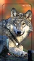 Wolf Wallpaper HD: Backgrounds ảnh chụp màn hình 3