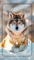 Wolf Wallpaper HD: Backgrounds ảnh chụp màn hình 1