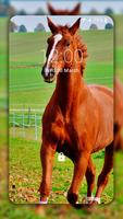 Horse Wallpaper HD: Themes ảnh chụp màn hình 2
