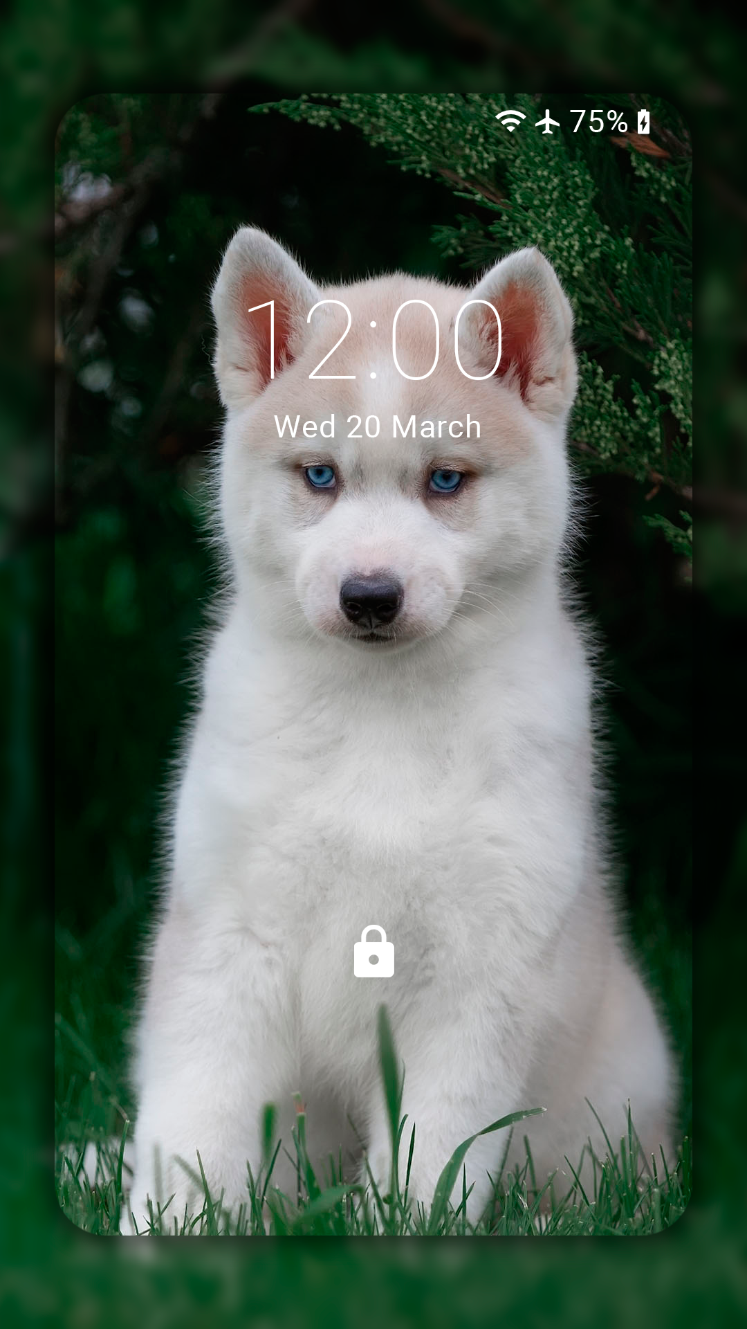 Husky dog Wallpaper HD Themes APK for Android – Download Husky dog Wallpaper HD Themes XAPK (APK Bundle) Latest Version from Husky dog Wallpaper HD Themes APK for Android – Download Husky dog Wallpaper HD Themes XAPK (APK Bundle) Latest Version from
