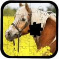 Jigsaw for Horse game Puzzle