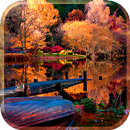 Pond Live Wallpaper - Paysages d'automne APK