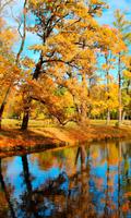 Pond Live Wallpaper - Paysages d'automne Affiche