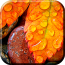 APK Autumn Rain Live Wallpaper (sfondi live)