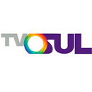 Rede TVSul APK