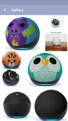 Descargar XAPK de Amazon Echo Dot 5th Gen Guide