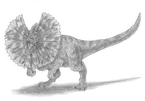 How To Drawing Dinosaurs Real For Android Apk Download View all coloring pages from dinosaurs category. how to drawing dinosaurs real for