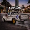 حياة الهجولة APK